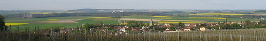 Mai 2008 - Du haut des Rachais - Patchwork Champs de Colza - Cormicy